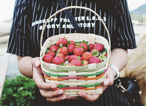 basket berries food