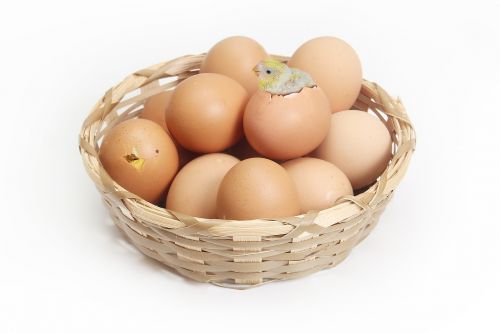 basket egg brown