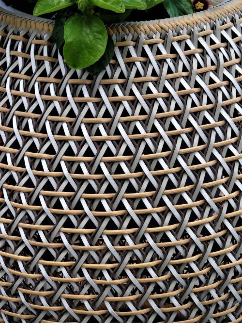 basket basket ware wattle