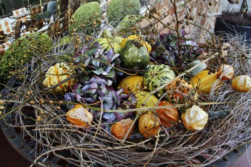 basket decorative dried flowers