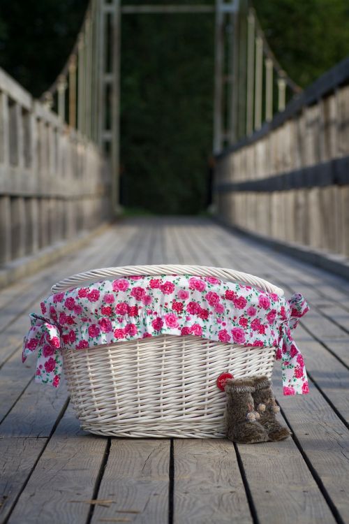 basket flowers color