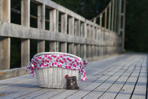 basket flowers color