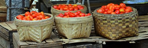 basket tomatoes market