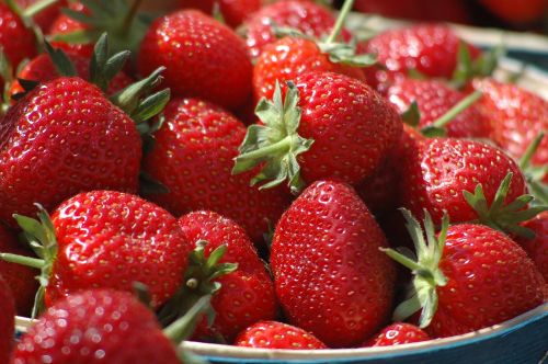 basket strawberries red