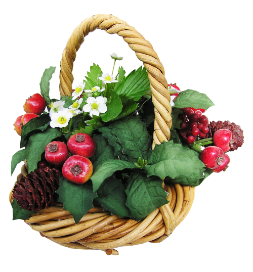 basket fruit flowers