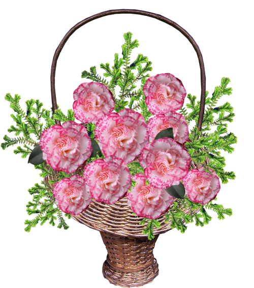 basket camellias arrangement