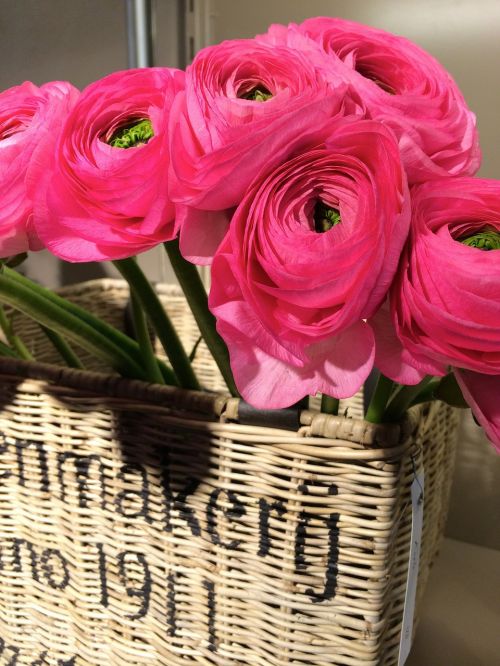 basket pink flowers