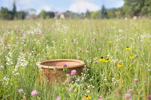 basket wildflowers summer