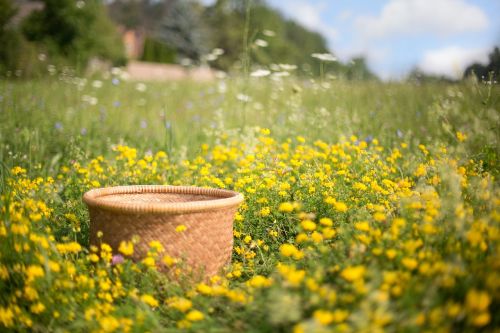 basket wildflowers summer