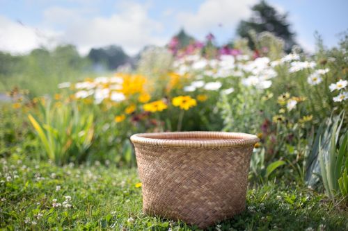 basket wildflowers summer