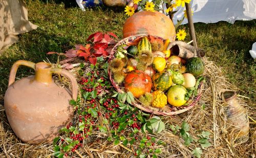 basket autumn agriculture