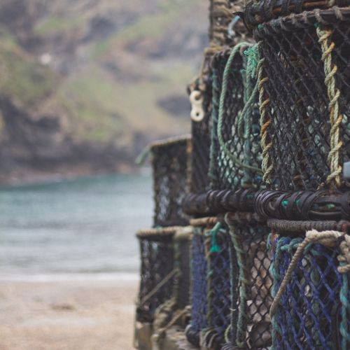 basket net fishing