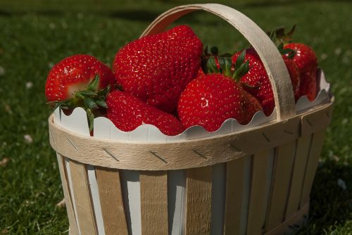 basket strawberries strawberry fruit