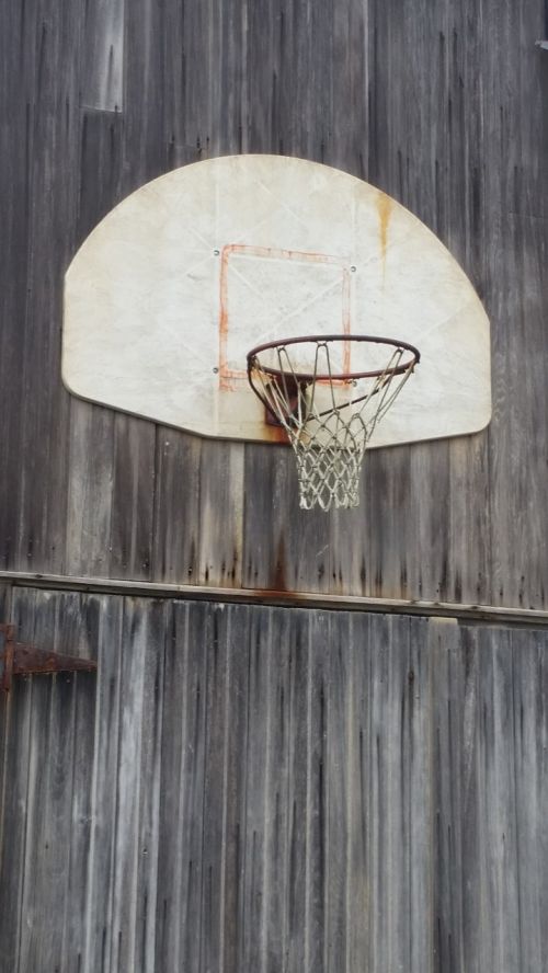 basketball hoops barn