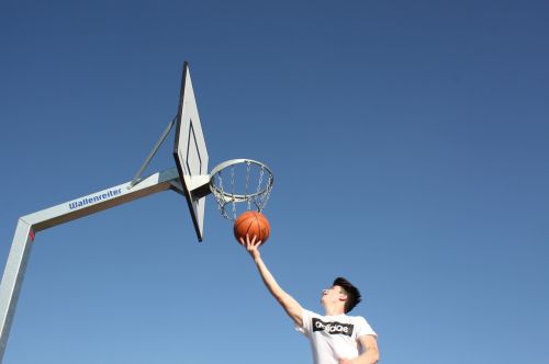basketball basketball hoop sport