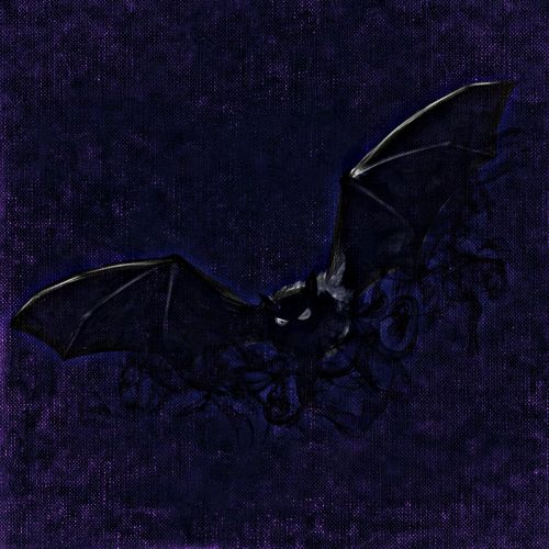 bat night creepy