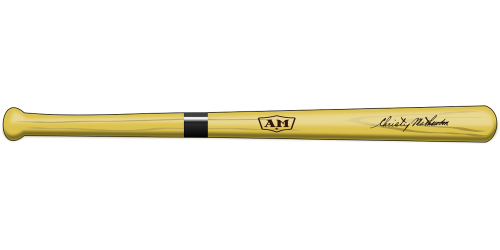 bat baseball equipment