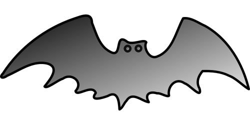 bat halloween black