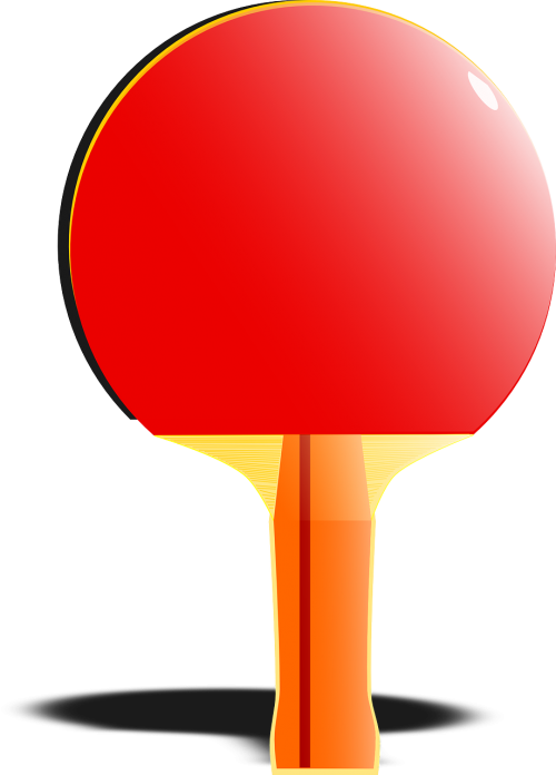 bat sports ping-pong