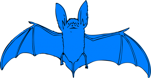 bat blue animal