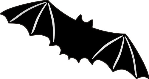 bat flying wings