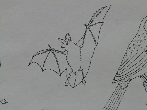 bat animal coloring pages