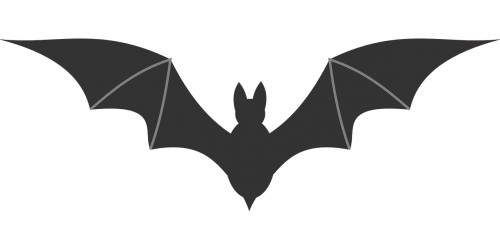bat icon symbol