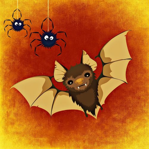 bat spider happy halloween