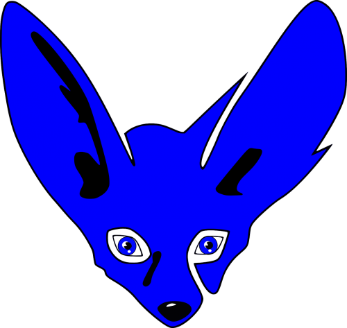 bat eared fox canine bat-eared