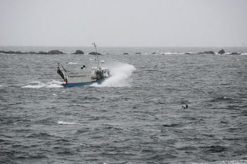 Fishing Boat At Sea