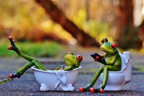 bath loo frogs