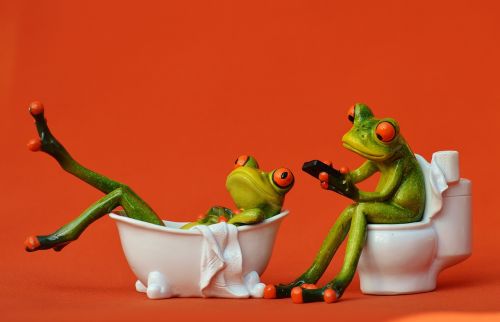 bath loo frogs
