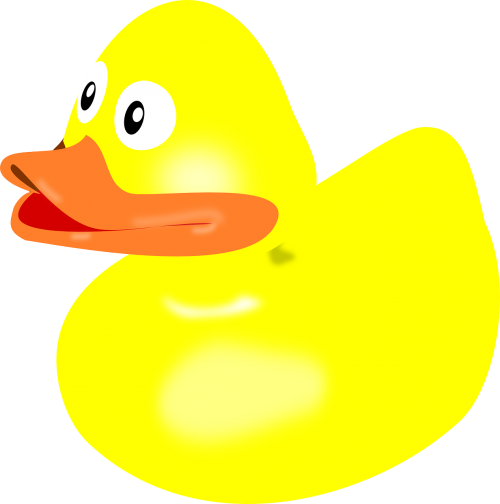 bath duck floating