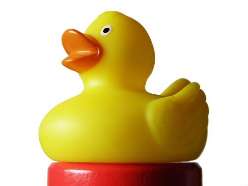 bath duck rubber duckies duck