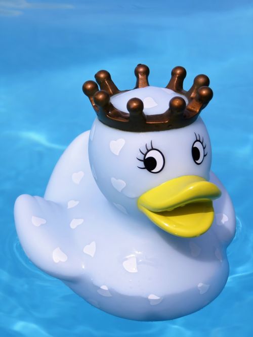 bath duck quietscheente rubber duck