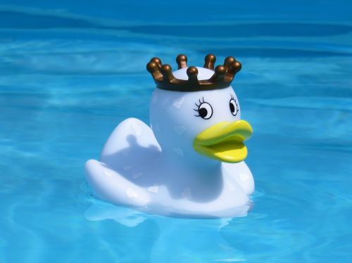bath duck quietscheente rubber duck