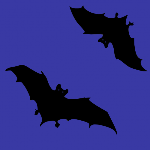 bats dark black