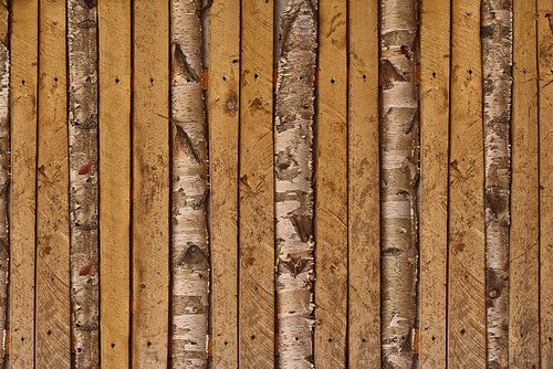 battens  boards  birch