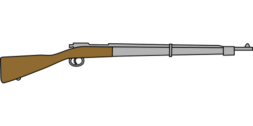 battle gun rifle