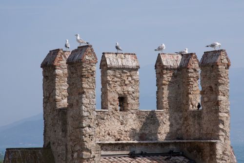 battlements gulls castle