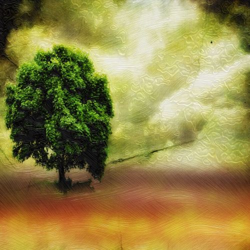 Tree Landscape