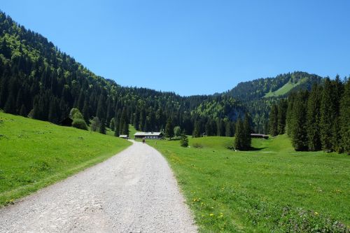 bavaria schwarzentennalm hiking