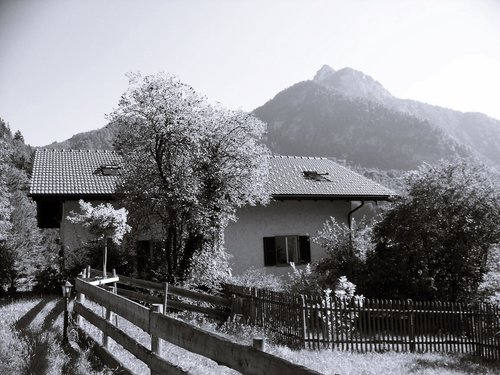 bavaria  berchtesgadener land  schnelzlreuth