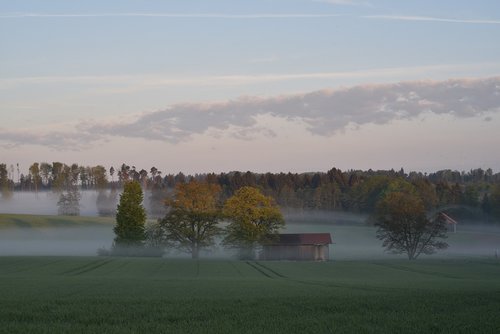 bavaria  morning  landscape