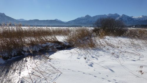 bavaria allgäu lake