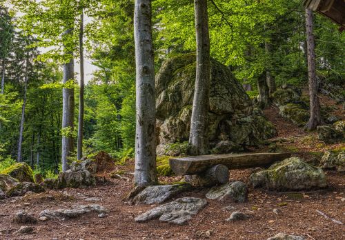 bavarian forest bank hiking