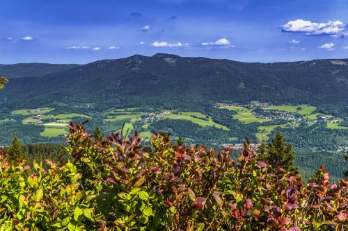 bavarian forest mountain bavaria