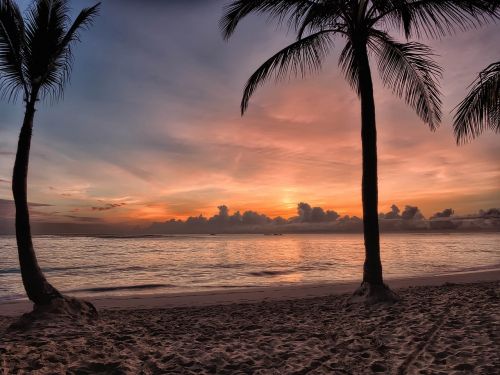 bavaro beach punta cana