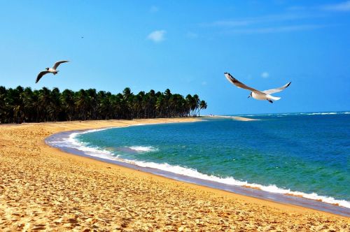 beach orla mar