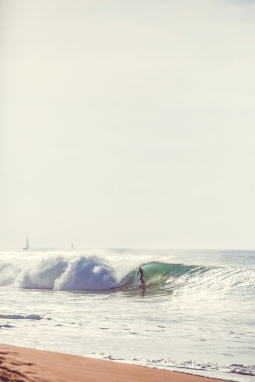beach wave surfer